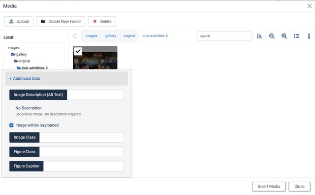 Media Browser